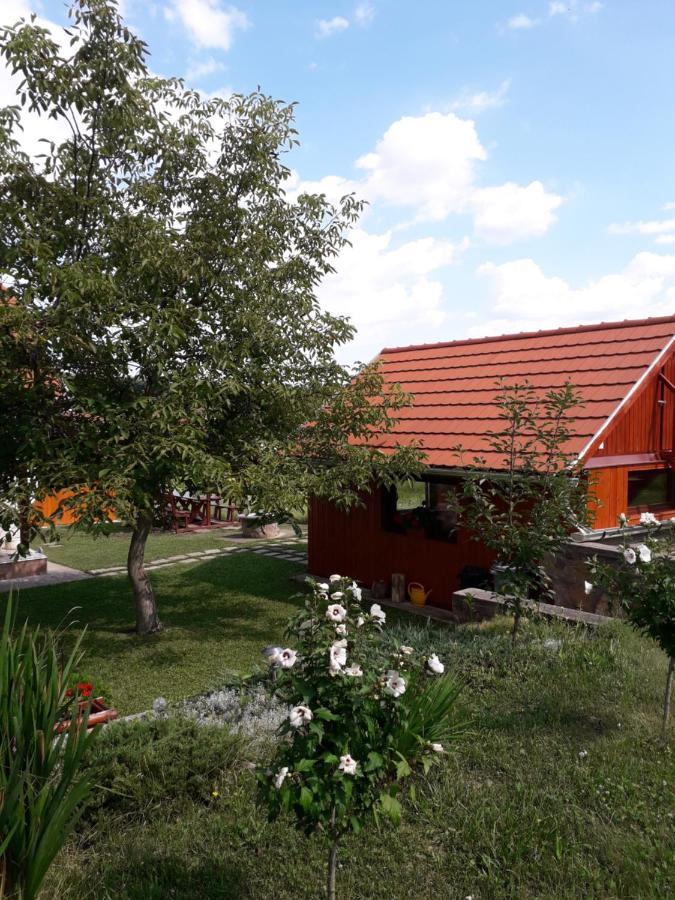 Matyas Apartman Tard Zewnętrze zdjęcie